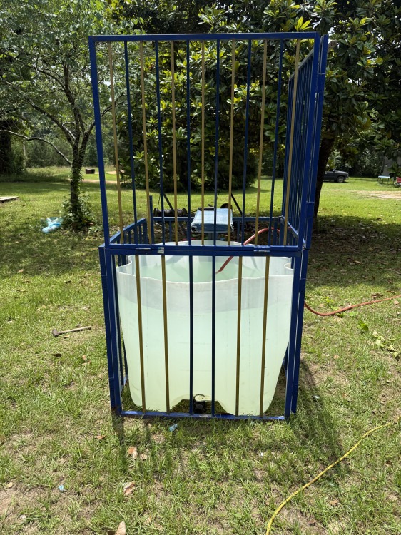DUNK TANK